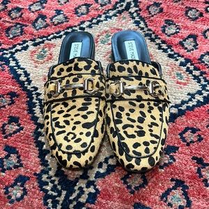 STEVE MADDEN Rylie Horsebit Leopard Mules Cow Hair in SIZE 6 - WORN ONCE!